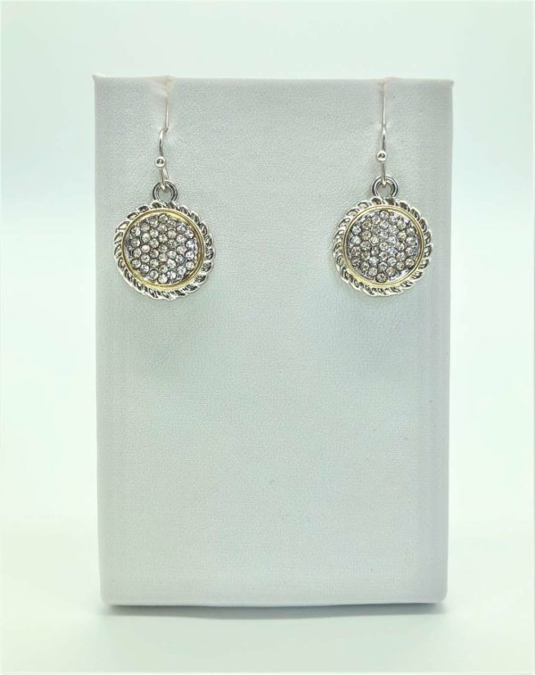 Two Tone Round Cable with CZ Earrings 13197